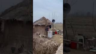 SKARRA MUCCI ft Yaniss Odua 🇯🇲 Raggamuffin School / Dancehall President • #funnymemes #funny