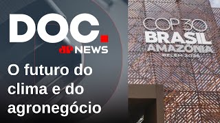 Do que depende o sucesso da COP30 no Brasil? Especialistas avaliam