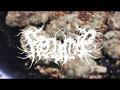 PROJECT: “ALIENATED & INTROVERTED 01”