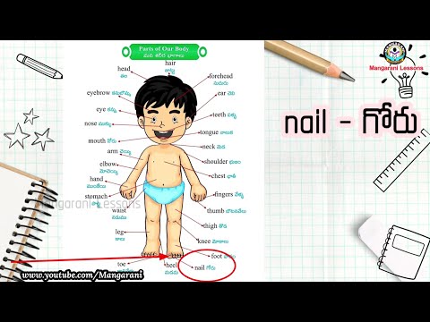 Learn a word a day, Word - Nail