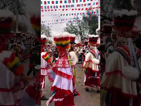 Todos bailan al ritmo y durante horas!!!