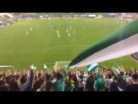 "Vamos Chapecoense!" Barra: Barra da Chape • Club: Chapecoense