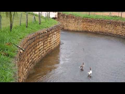 Vargem grande do Sul  ... divisa de Minas Gerais.. tranquilidade e sossego