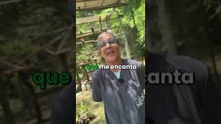 Curar también es devolver alas, pasos y libertad