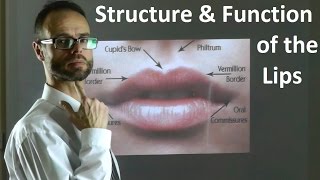Role of the Structure & Shape of Upper & Lower Lips in Facial Attractiveness & Beauty by Dr Mike Mew