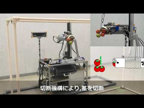 総合システム工学科 Tomato Robot Competition 2020 -preliminary- Hibikino Toms