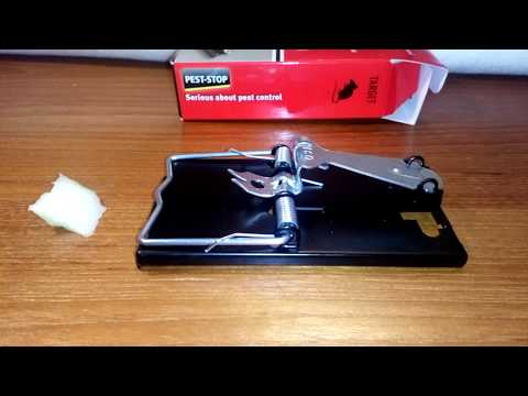 Pest-Stop Easy Setting Metal Mouse Trap: Bait, set and test