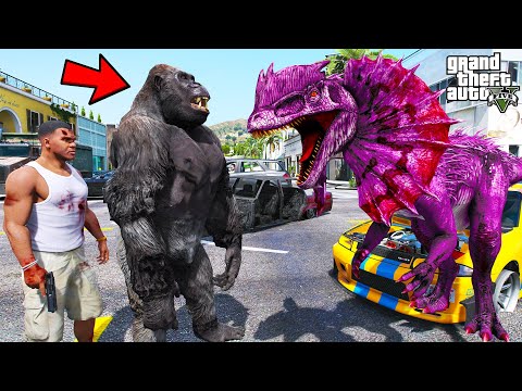 Franklin Found Angry Gorilla To Fight Dilophosaurus in GTA 5 | SHINCHAN and CHOP