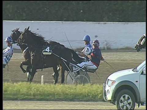 Trotto 27/05/2016 - 8° corsa