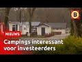 Vaste kampeerder de pineut door buitenlandse investeerders | Omroep Brabant