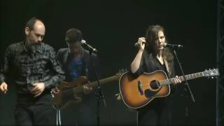 Oystercater performs Give Up Your Dreams by Phoenix Foundation