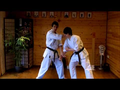 Kata Bunkai Video Tutorial 07 - Wanshu (Empi) Kata
