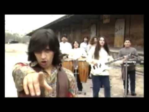 Organización X - Borrachito