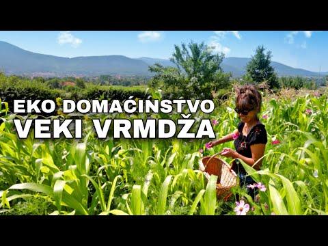 Oaza ep.4  - Eko domaćinstvo - Veki Vrmdža 🍀