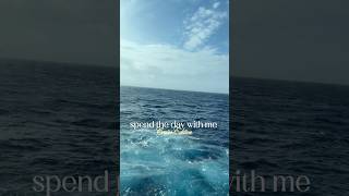 i don’t wanna see liquor for a year after this. #cruise #vlog #cruiseship #carnivalcruise