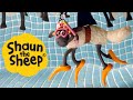 If You Can T Stand The Heat Shaun The Sheep S1 Full Episodes