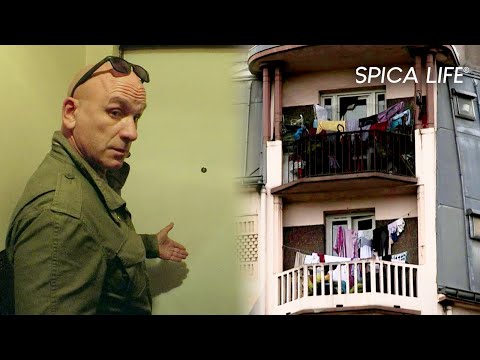 Untouchable squatters: owners at their wit's end