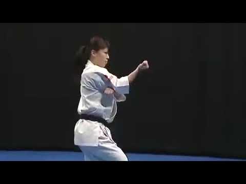 Shinkyokushin Kata - Seipai 新極真会型十八