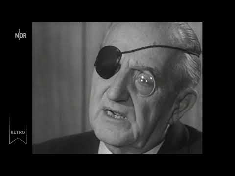 Fritz Lang über Nazis, Hollywood und Fury
