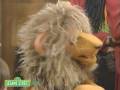 Sesame Street Chicago Visits The Jungle