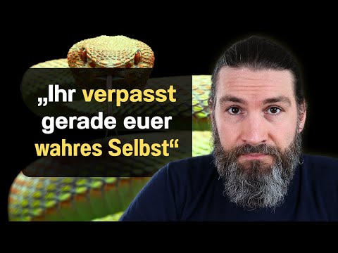 Krafttier Schlange: Aktuelle Botschaft und Weisheit (heftig)