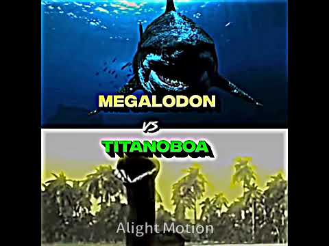 Megalodon vs Titanoboa 💀