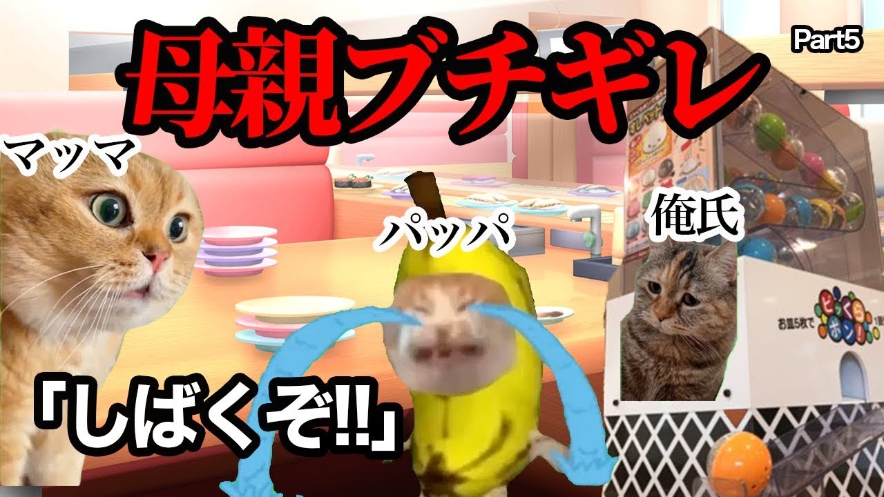 回転寿司で父親がお母さんにガチギレされる瞬間w w w #猫ミーム #猫マニ #あるある【総集編】