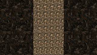 Can you see the waterwheel in this stereogram? #stereogram #3d #challenge #waterwheel #cool