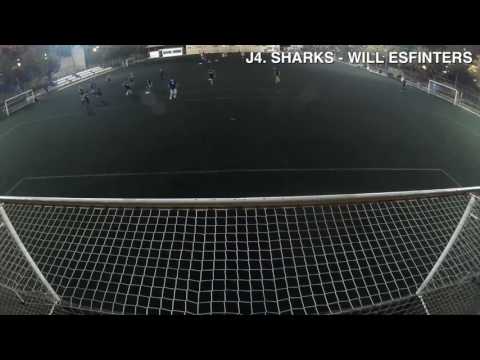 J4. SHARKS - WILL ESFINTERS