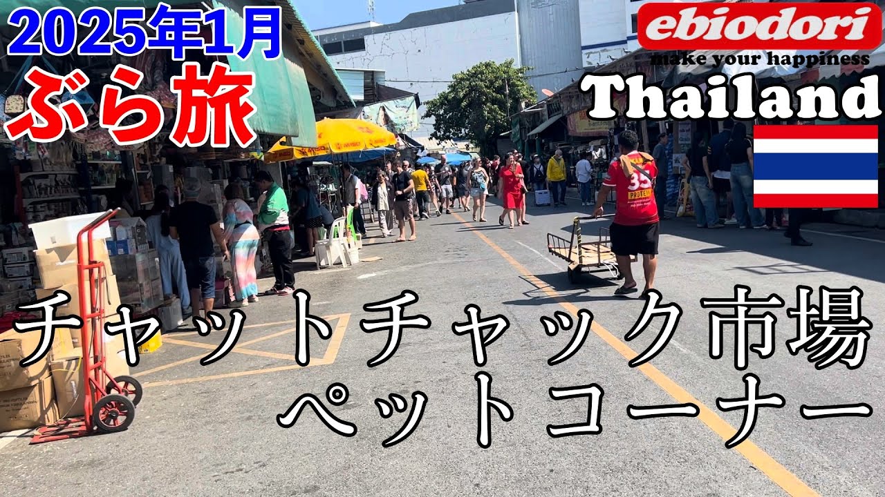 タイバンコク チャットチャック市場のペット市場ぶらり旅2025年1月の様子2024年末の大火災後の跡地を見に行く【アクアリウム】