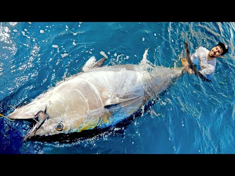 このマグロは巨大でした!!