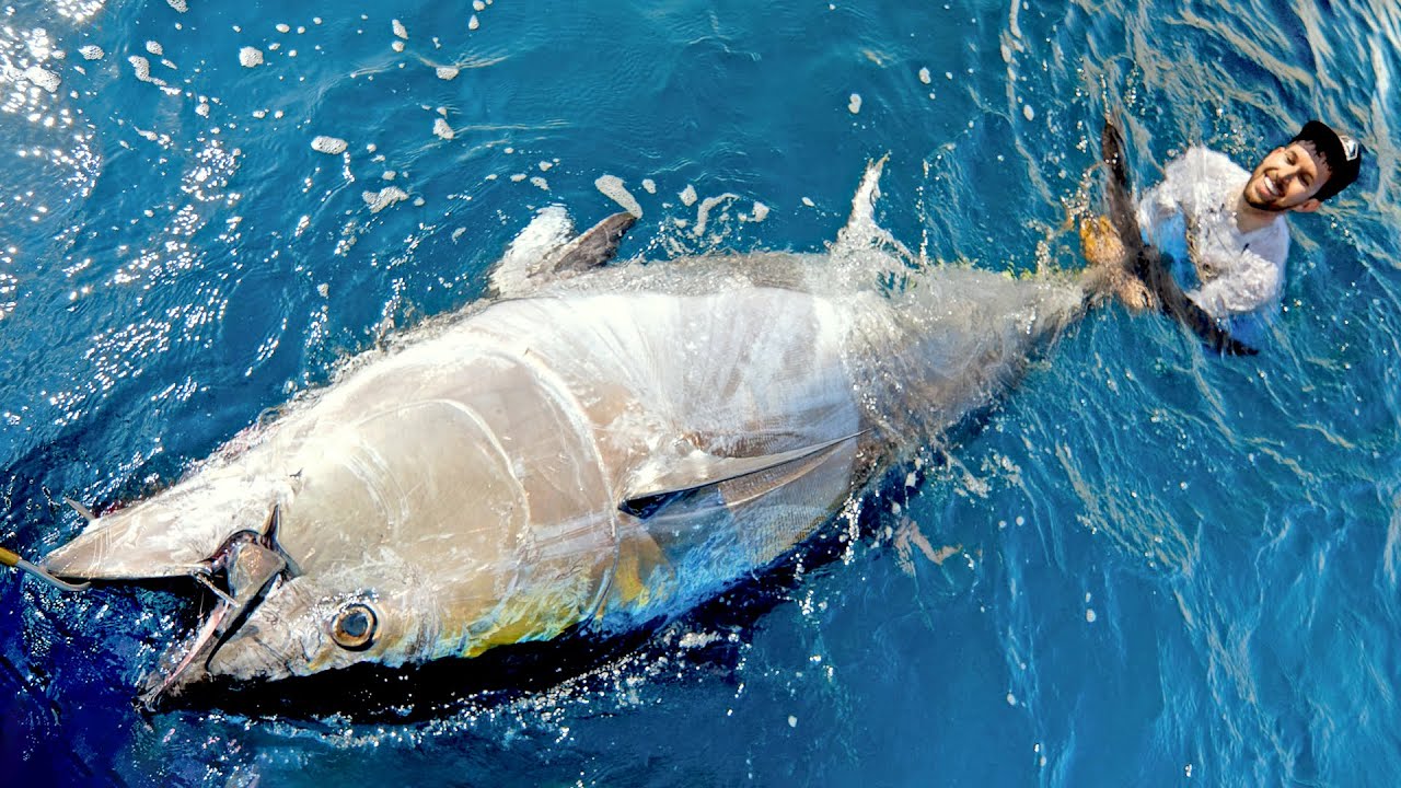 This Tuna was massive! Fishing North Carolina