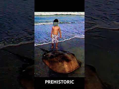 Prehistoric Animals That Still Live On Earth 😨