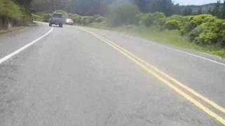 El Taurino - Fatso Jetson