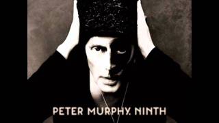 Peter Murphy - Memory Go