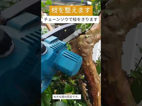 折れた木の枝をうまく処理できますか?説明と例  庭園