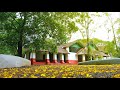 CMS COLLEGE ALBUM DECADE DREAMS D D M