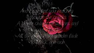 Carly Rae Jepsen (Roses Lyrics)