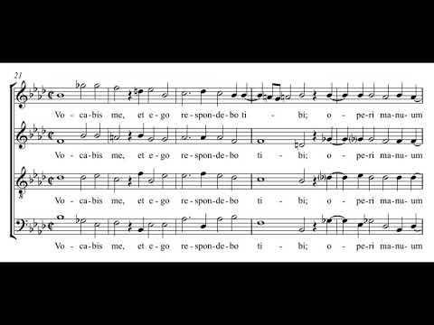 Lassus: VI. Quis mihi hoc tribuat - Daedalus