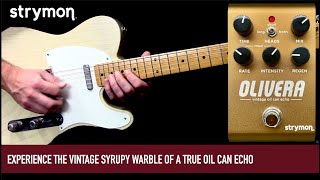 Video thumbnail for STRYMON OLIVERA Vintage Oil Can Echo by Mike Hermans