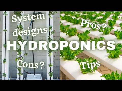 , title : 'What Is Hydroponics And How Does It Work?