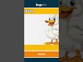 duck - a bird that quacks, swims, ... video thumbnail