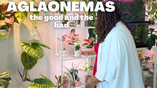 These plants are annoying 