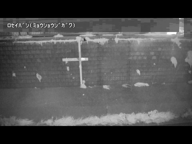 鷺盛橋映像監視局