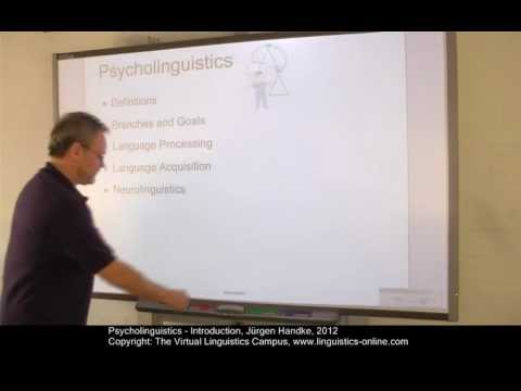PSY101 - Psycholinguistics - An Overview