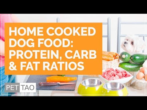 Home Cooked Dog Food FAQ #1 - Protein, Carb & Fat Ratios