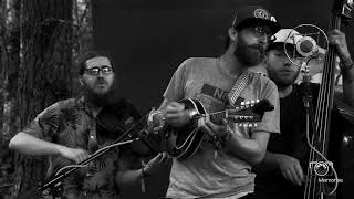 Old Salt Union  "Feel My Love"