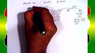 13 √ الضمير المتصل image