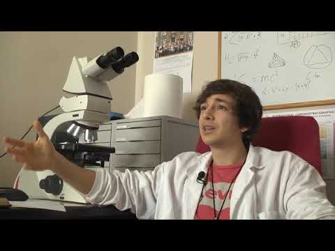 Vídeo: O que nos contan as plantas do Xurásico