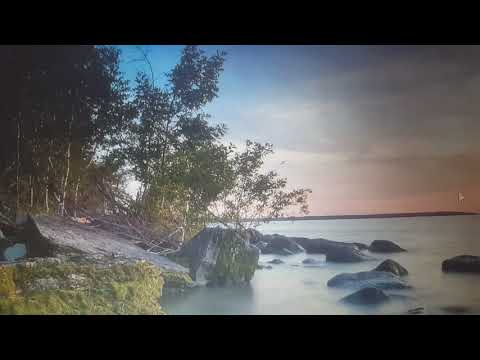 PROLETNJA ZORA  Vojislav Ilic